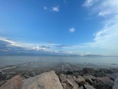 -深圳湾公园(南山区)
