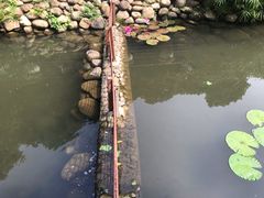 -月亮湾公园