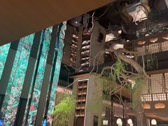 -桂满陇·海市蜃楼·黑金(国金店)