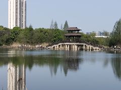 -洋湖国家湿地公园