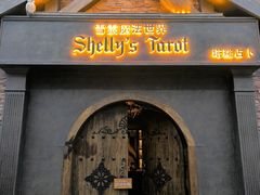 -雪灵魔法世界SHELLY’S TAROT(大良桂畔里店)