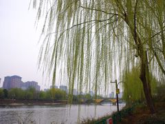 -西安汉城湖景区