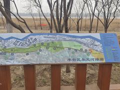 -绿堤公园
