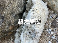 -厦门湾泳滩