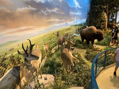 -陕西自然博物馆