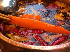 红汤锅底-镇江龙·火锅串串(武侯祠店)