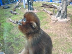 -大连森林动物园