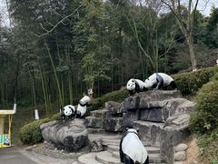 -都江堰中华大熊猫苑