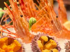 -海立阁海鲜江浙菜(漕河泾印象城店)