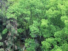 -南山植物园