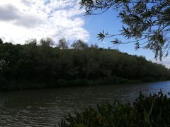 -新江湾城公园