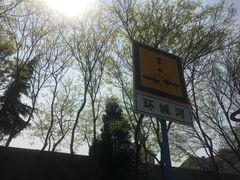 -嘉定紫藤园