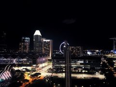 -新加坡瑞士史丹福酒店