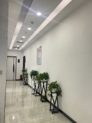 -悟空祛痘·亚健康皮肤管理中心