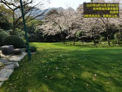 -中国茶叶博物馆(双峰馆区)