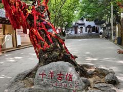 -青檀寺景区