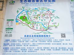 -碧峰峡风景区
