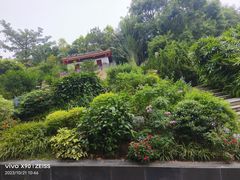 -深圳国际园林花卉博览园