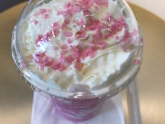 -飞行喵MR PILOT|猫舍·猫咖(静安大融城店)