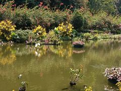 -深圳仙湖植物园