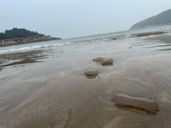 -宁波松兰山滨海旅游度假区