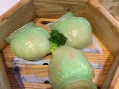 -美食小镇·观赏珍稀鸟类·长隆熊猫酒店