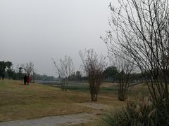 -两河城市森林公园