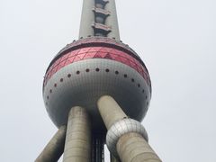 -东方明珠国际旅行社有限公司