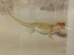 -徐汇艺术馆