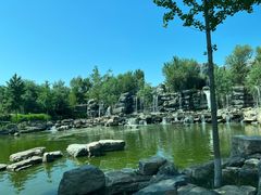 -北京野生动物园