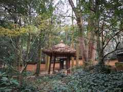 -黄公望隐居地