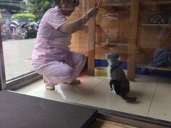 -宠颐生中康贝怡动物医院