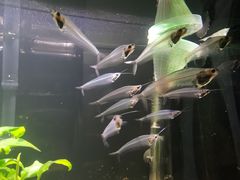 -沈阳海洋探索中心