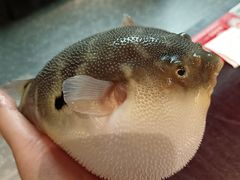 -永安鱼庄·镇江菜(东吴路店)