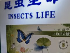 -上海昆虫博物馆