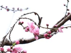 -乌山风景区