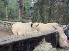 -杭州野生动物世界