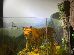 -陕西自然博物馆