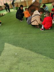 -萌宠亲子动物乐园(槐房万达店)