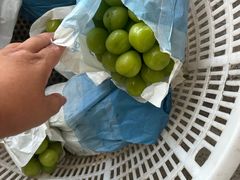 -马陆小张葡萄园农家乐