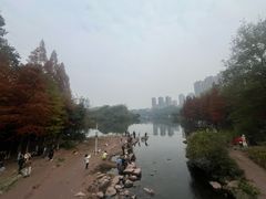 -重庆彩云湖湿地公园