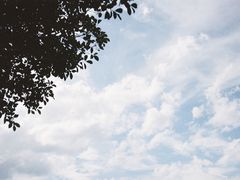 -福建鲤鱼洲酒店