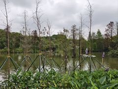 -海珠湖公园