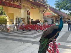 -西双版纳勐泐文化旅游区