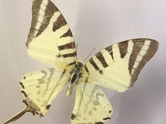 -下渚湖国家湿地公园科普馆