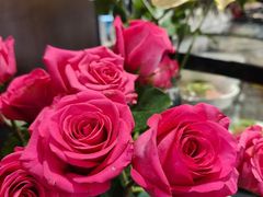 -灶东家民间菜(回兴店)