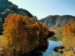 -四明山国家森林公园