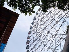 -万泉公园