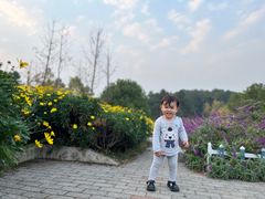 -铁山坪森林公园