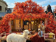 -Blue Concept Cafe&Farm·關於藍